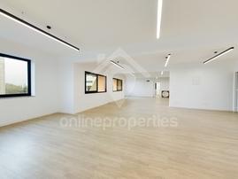 Large whole floor office fully renovated in the City center opposite park